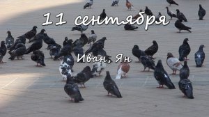 11 сентября – именины сегодня отмечают