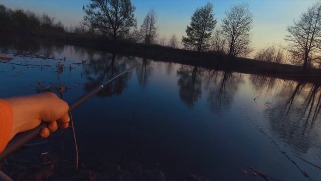 Карась на поплавок в мае. Ловля карася на удочку перед закатом. Рыбалка на мах. Spinningist_NN смотреть онлайн