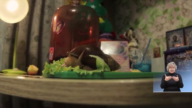 Гаджеты здоровья. Наши детки - 18.12.2020