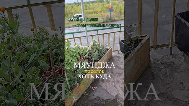 Мяунджа - поселок хоть куда, Колыма 2024