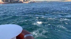 МЫ СЧАСТЛИВЫЕ В СТАМБУЛЕ! ПАРК ГЮЛЬХАНЕ, ПРОГУЛКА ПО БОСФОРУ | АРИНА БЕЛАЯ