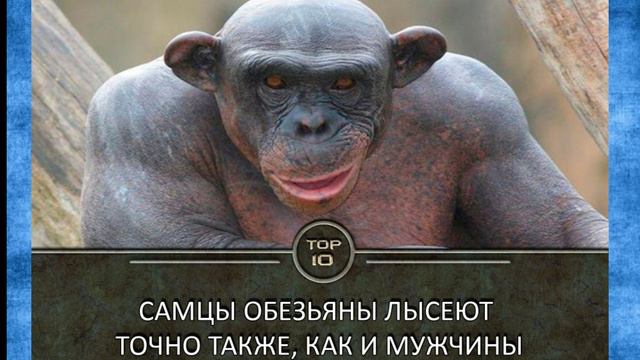 50 интересных  фактов, которые вас удивят