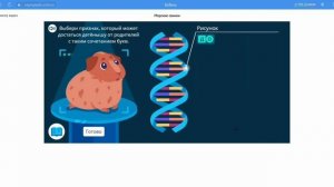 Весенняя Олимпиада по окружающему миру и экологии 2 класс 2022 г