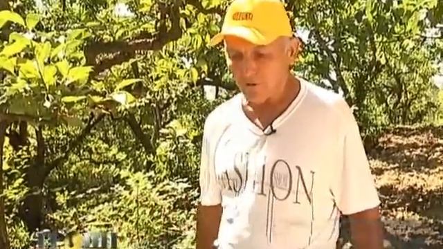 Никитский Ботанический сад под угрозой.Гроши 70.(2012.09.05)
