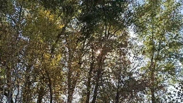 Почему нельзя отмечать 40- летие...Важные причины отмены праздника. День рождение. смотреть онлайн