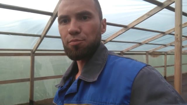 Всходы огурцов КУРАЖ F1 смотреть онлайн