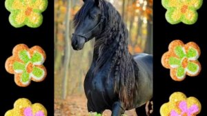 ?Дифференциация звуков С-Ш