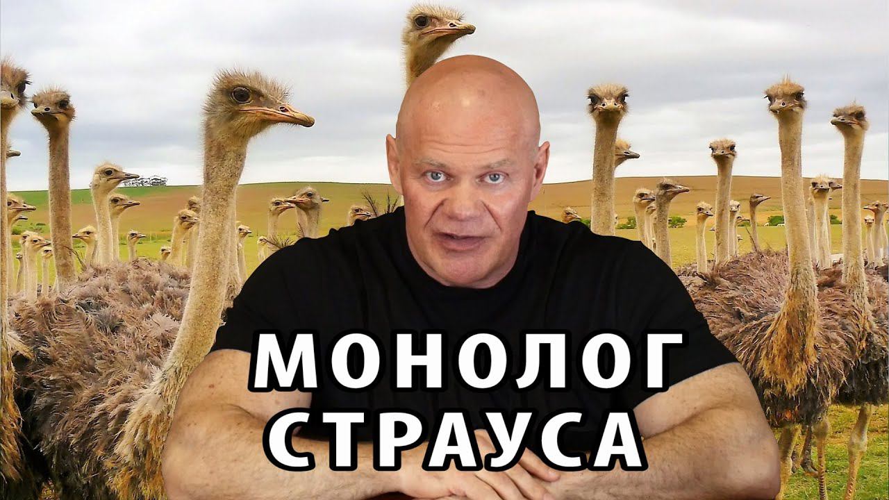 Монолог страуса смотреть онлайн