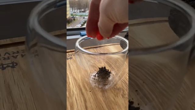 А как ты пьёшь пуэр? ☕️ #чай #чайнаяцеремония
