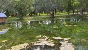 Подольхи. Природный парк. Уютное место для отдыха в 20 км от Прохоровки.