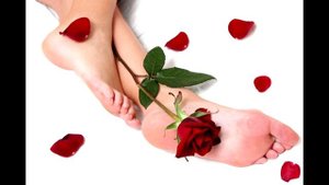 Как вывести шипицу в домашних условиях