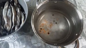 Слабосолена мойва.