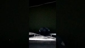 Работа на флоте