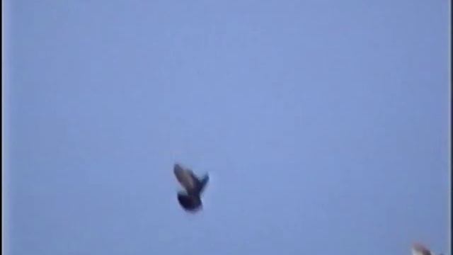 Бакинцы Камашева Сергея. смотреть онлайн