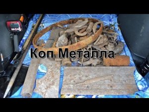 Хороший коп на старом месте - сигналов много - металл интересный.