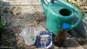 Как делаю компост сразу в грядке