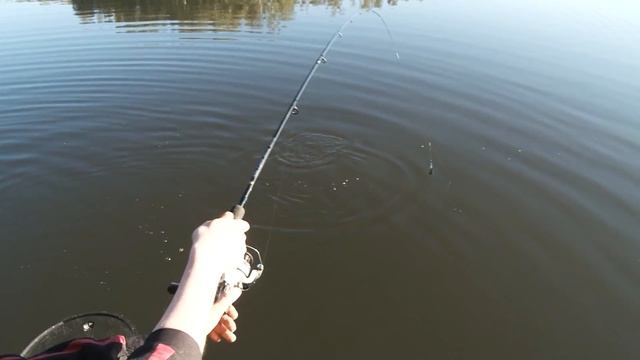 Ловля форели на фидер Волжанка. смотреть онлайн