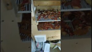 Сушилка для мяса, овощей, фруктов своими руками всего за 2 тысячи рублей