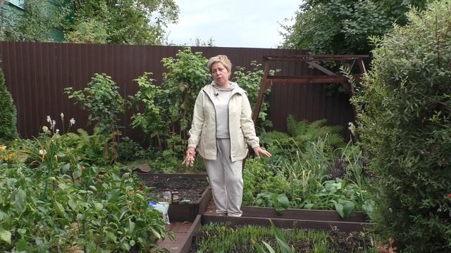 ОВОЩНЫЕ ГРЯДКИ ОСЕНЬЮ: БОЛЬШАЯ ПАМЯТКА! смотреть онлайн