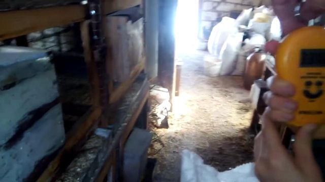 Отбираю молодняк кроликов на племя. смотреть онлайн