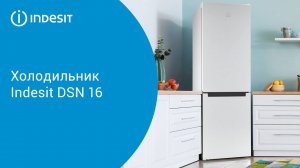 Холодильник Indesit DSN 16 - обзор модели