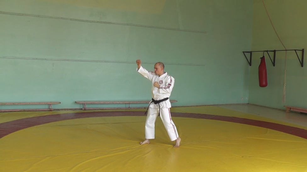 Ката Те Ваза Когеки Дай Никё. Вид спереди (Kata Dai Nikyo. Front View)