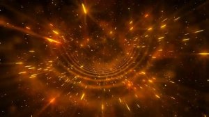 The Soviet Space Dog Project. Stricture