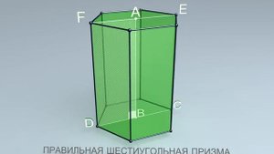 Правильная шестиугольная призма | Стереометрия #47 | Инфоурок