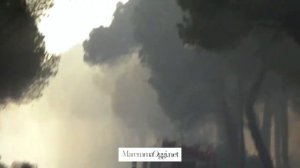 2012-2022, dieci anni dopo l'incendio a Marina di Grosseto