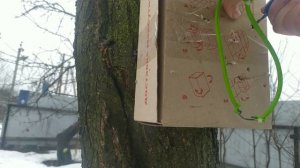 Как сделать рогатку для рыбалки. Рогатка своими руками.(Рогатка для охоты)