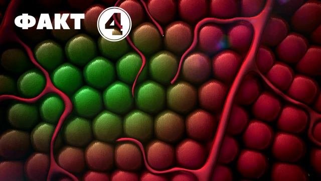 7 удивительных фактов о смерти которые Вас Шокируют #смерть