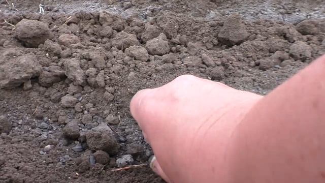 Когда и Как сажаем Чеснок ✅ Я не лентяйка !?Оправдалась.. смотреть онлайн