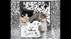 Springbok 1000 Piece Checkerboard Cat Jigsaw Puzzle Time Lapse Video