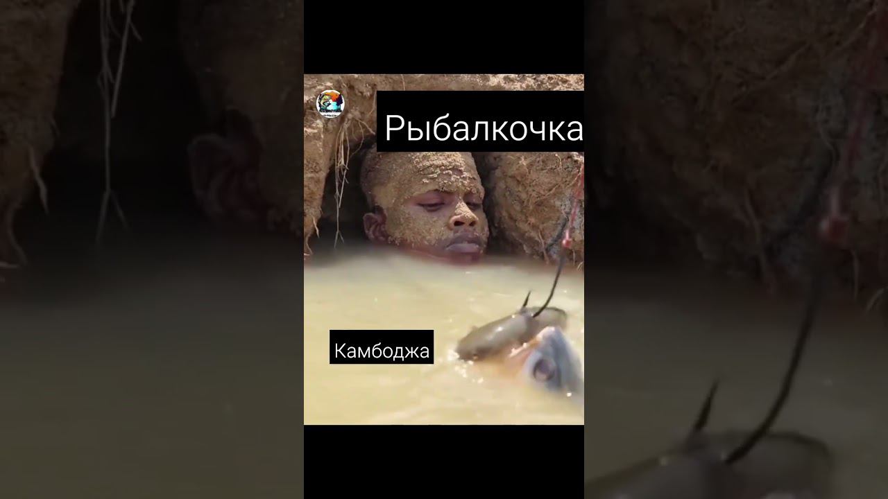 гля какая рыбалка #камбоджа смотреть онлайн