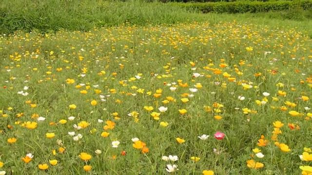 Любовь Белогорцева На завалинке смотреть онлайн