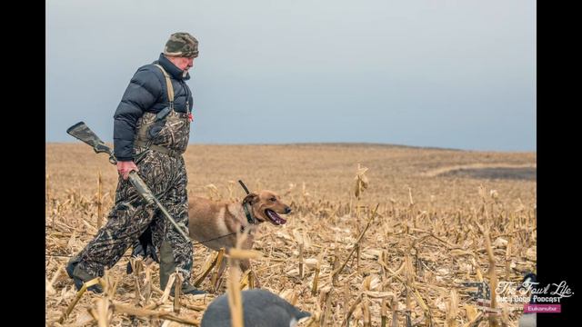 E80 - Les Naisbitt - Duck Dogs Fueled by Eukanuba Podcast смотреть онлайн