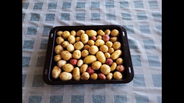 Не выбрасывайте мелкий картофель. Деликатес из мелкого картофеля. Бизнес на картошке