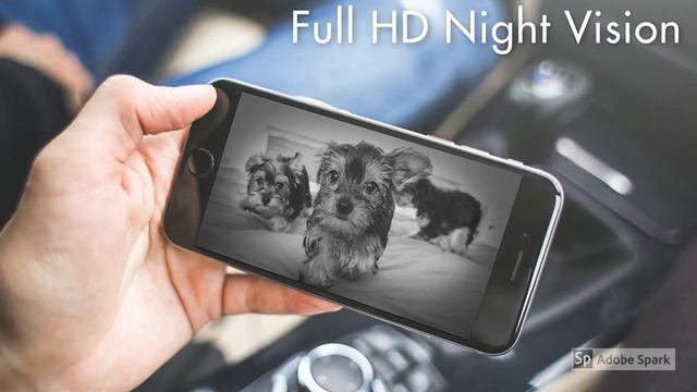 Furbo Dog Camera Review | As Seen On Ellen смотреть онлайн
