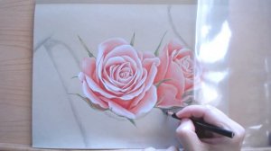 The Pink Project Two [6]: Pink Roses Colored Pencil Drawing, Part 6. Artist: Yan Mou. August 2020.