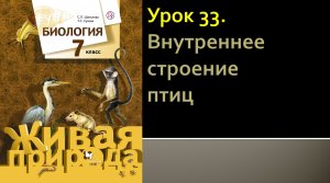 Урок 33. Внутреннее строение птиц