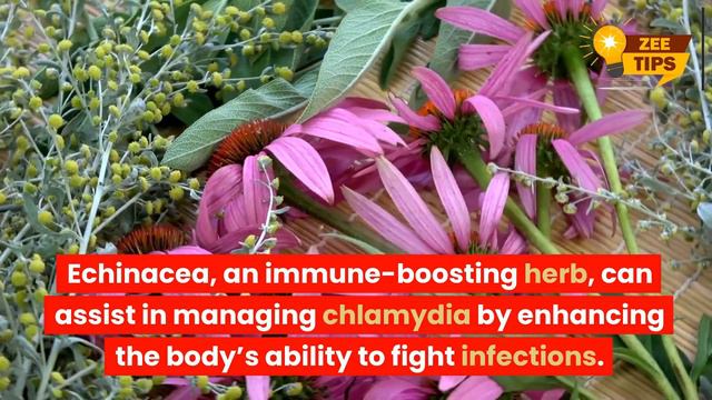 Cure 70 of Your Health Problems in Herbal Way. смотреть онлайн