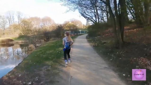 Приручили лебедей