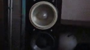 Paradigm Monitor 7v.6