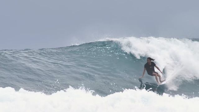 The Best of Craig Anderson In the Stab Innocents Project смотреть онлайн