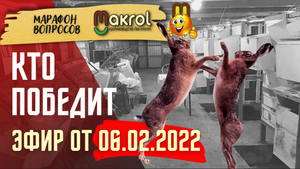 ?Оптимальная высота клеток для кроликов ?Бои кролов ✅Лживые кролиководы #Макляк #Макрол