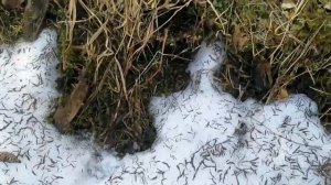 Попов Анатолий снял следы в мае 2021 года. Обсудим?