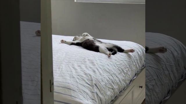 Воскресное утро