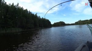 Рыбалка в Разнежье.Силикон и Вертушки в деле! Разловил приманки.