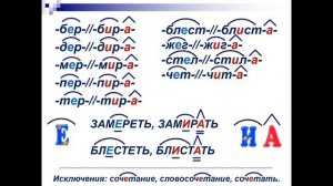 Русский язык, 5 класс: Корни с чередующимися Е, И