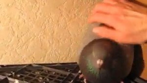 Погладить голубя 2 | Stroke the pigeon 2